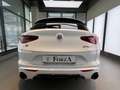 Alfa Romeo Stelvio Stelvio 2020 2.2 t Veloce Q4 210cv auto Bianco - thumbnail 15