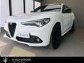 Alfa Romeo Stelvio Stelvio 2020 2.2 t Veloce Q4 210cv auto Bianco - thumbnail 1