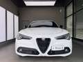 Alfa Romeo Stelvio Stelvio 2020 2.2 t Veloce Q4 210cv auto Bianco - thumbnail 2