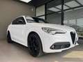 Alfa Romeo Stelvio Stelvio 2020 2.2 t Veloce Q4 210cv auto Bianco - thumbnail 3