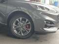 Ford Kuga 1.5 EcoBoost ST-Line X*PANO-DACH*iACC Grau - thumbnail 11
