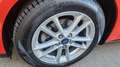 Ford Focus 1.5 TDCi E6 88kW Titanium Rouge - thumbnail 48