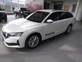 Skoda Octavia 2.0 TDI 110 kW Selection Weiß - thumbnail 2