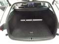 Skoda Octavia 2.0 TDI 110 kW Selection Weiß - thumbnail 9