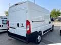 Fiat Ducato 33 2.3 MJT 140CV PM-TM Furgone Bianco - thumbnail 5
