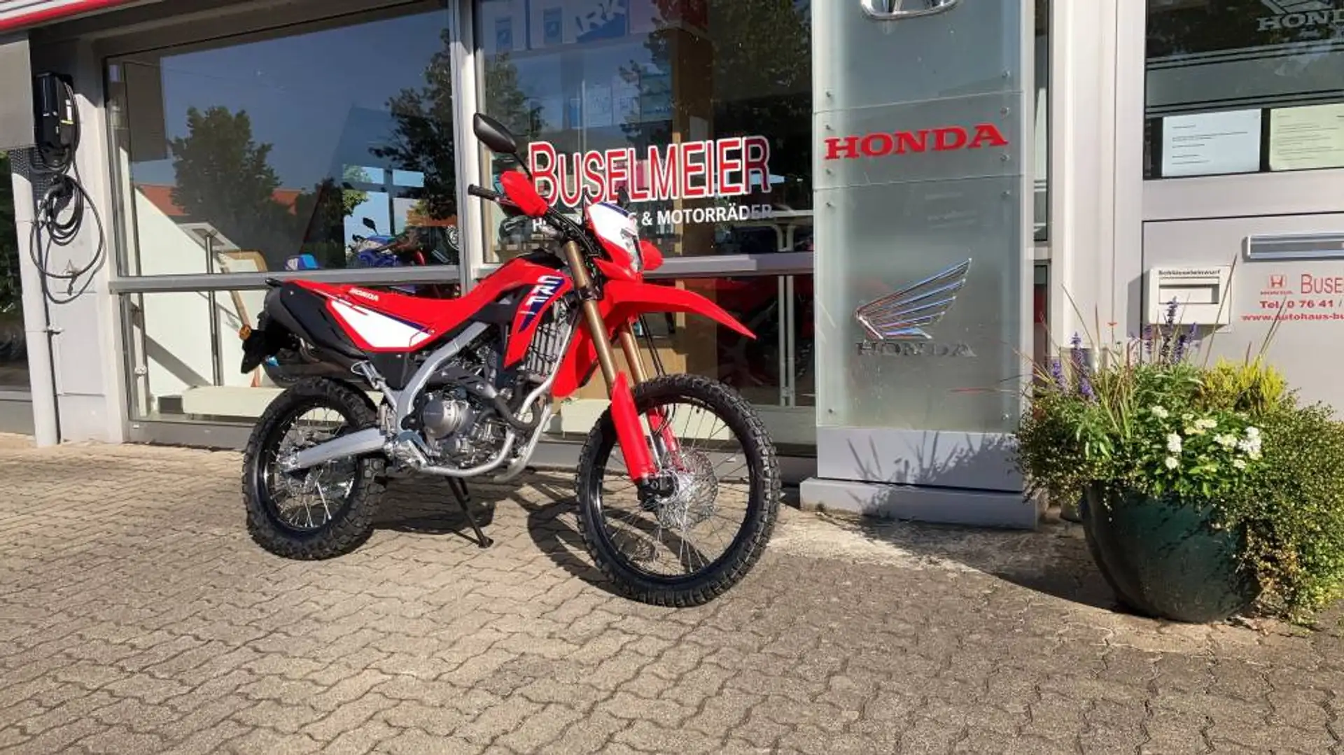 Honda CRF 300 L 2025 Rot - 2