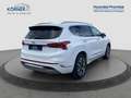 Hyundai SANTA FE Signature 2.2 CRDi 4WD *LEDER*PANO*CAM*NAVI*AHK* Weiß - thumbnail 4