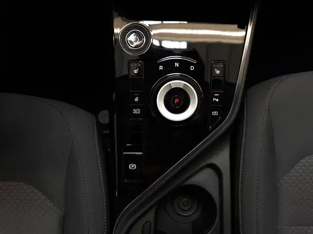 Kia Niro view 13