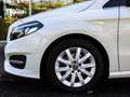 Mercedes-Benz B 180 Style Business/AHK/Garmin-MAP/LED Weiß - thumbnail 11