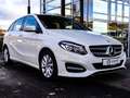 Mercedes-Benz B 180 Style Business/AHK/Garmin-MAP/LED Blanco - thumbnail 9