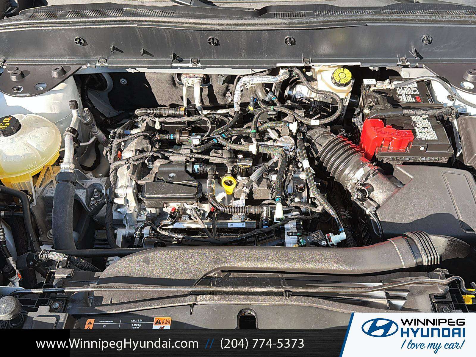 used 2024 Ford Bronco Sport car, priced at $33,728