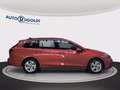 Volkswagen Golf Variant 1.0 etsi evo life 110cv dsg Rot - thumbnail 22