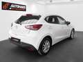 Mazda 2 Mazda2 G90 Attraction Aut. |1.BESITZ | PICKERL ... Weiß - thumbnail 6
