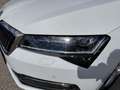 Skoda Superb Style Kombi 2,0*DSG*MwSt.*1Besitz*AHK*Pickerl NEU* Weiß - thumbnail 6