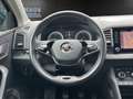 Skoda Karoq 2.0 TDI Clever PDC+AHK+NAVI Klima Navi Blau - thumbnail 14