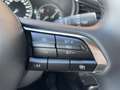 Mazda CX-30 2.5 e-SkyActiv-G 140 M Hybrid Nagisa | AUTOMAAT | Gris - thumbnail 21