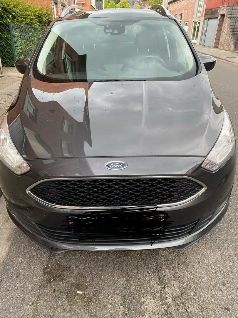Ford Grand C-Max Grand C-Max 1.0 EcoBoost Start-Stopp-Syst Titanium Grijs - 1