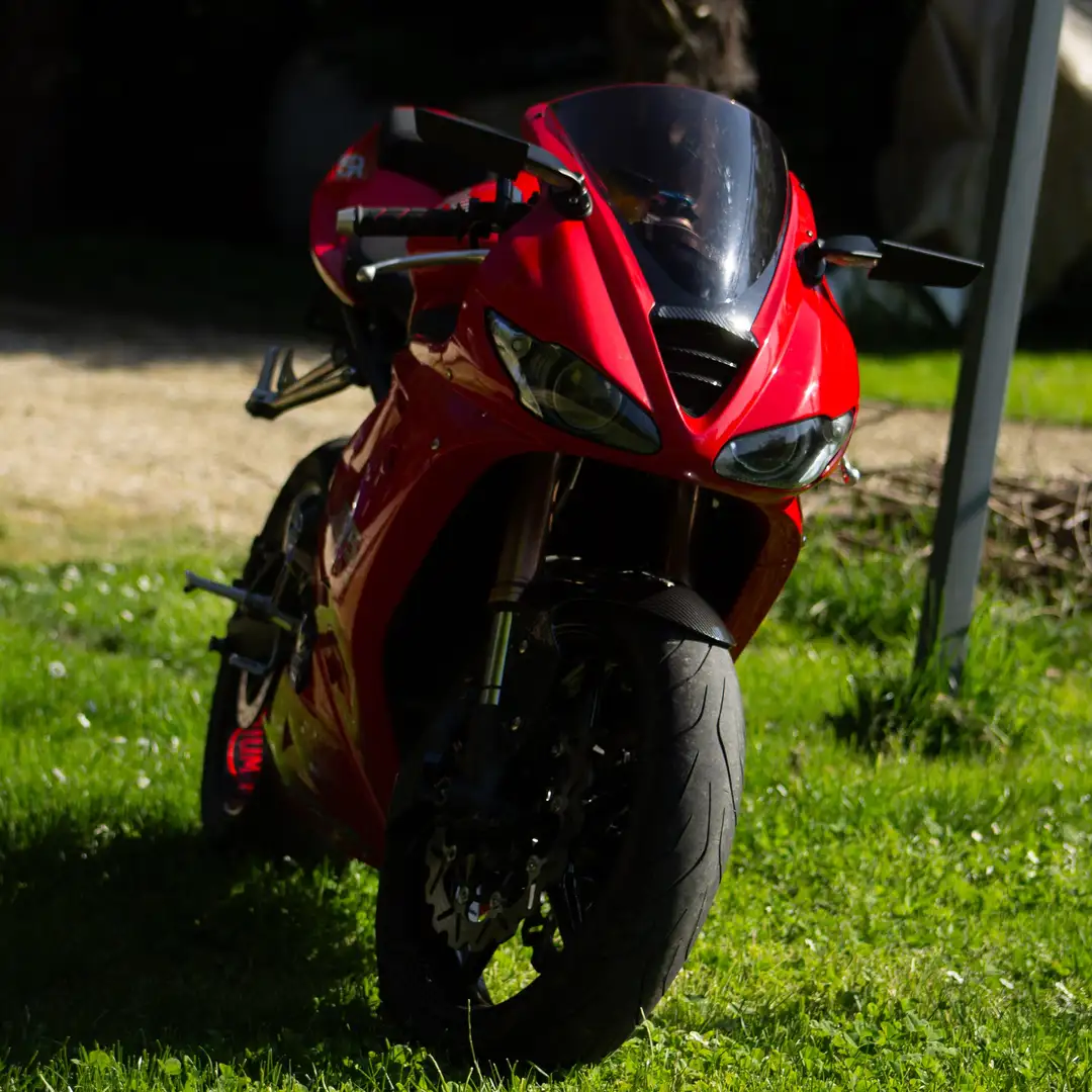 Triumph Daytona 675 Rood - 1