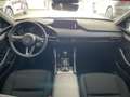 Mazda 3 2.5 140PS Homura Voll-LED RFK Alexa Apple CarP Verde - thumbnail 7