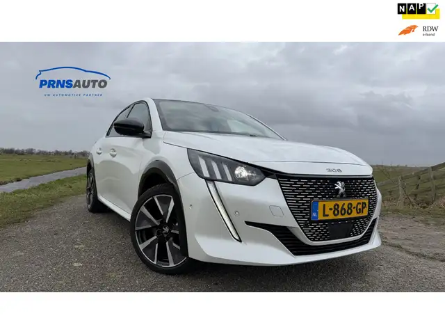Peugeot e-208 | 2021 | Panoramadak | Interieurverlichting | ACC