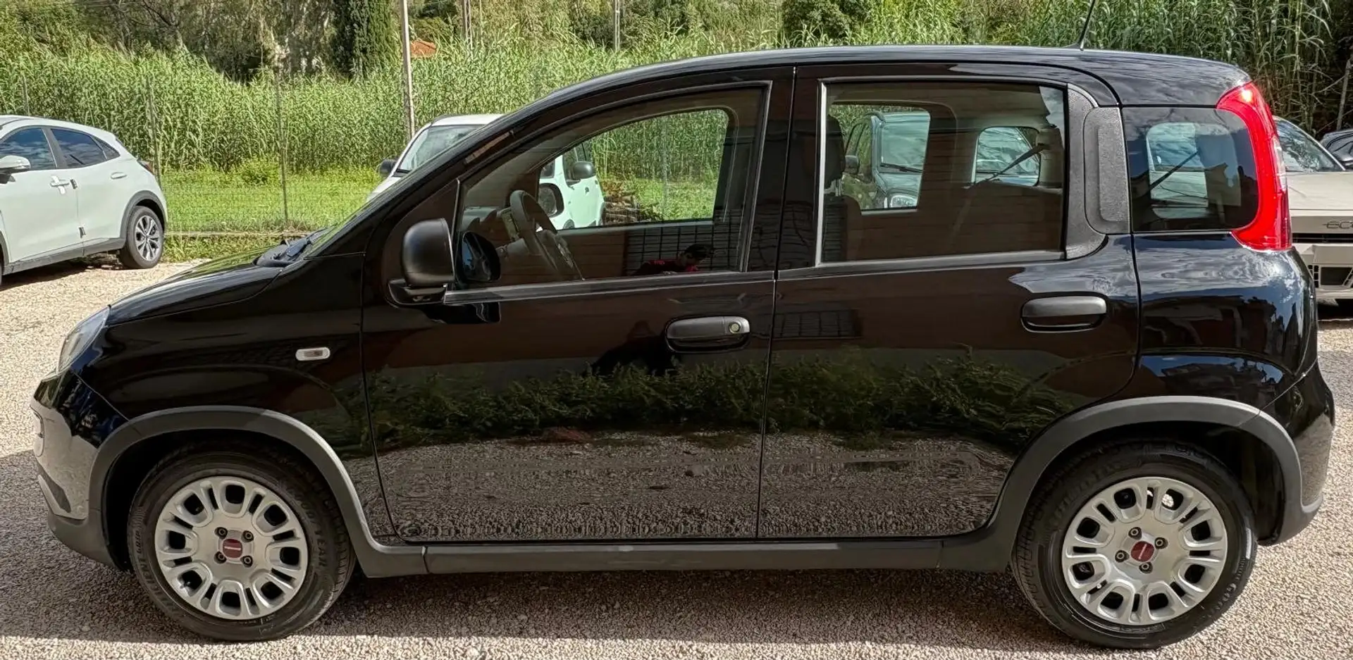 Fiat Panda Panda III 2021 1.0 firefly hybrid Nero - 2