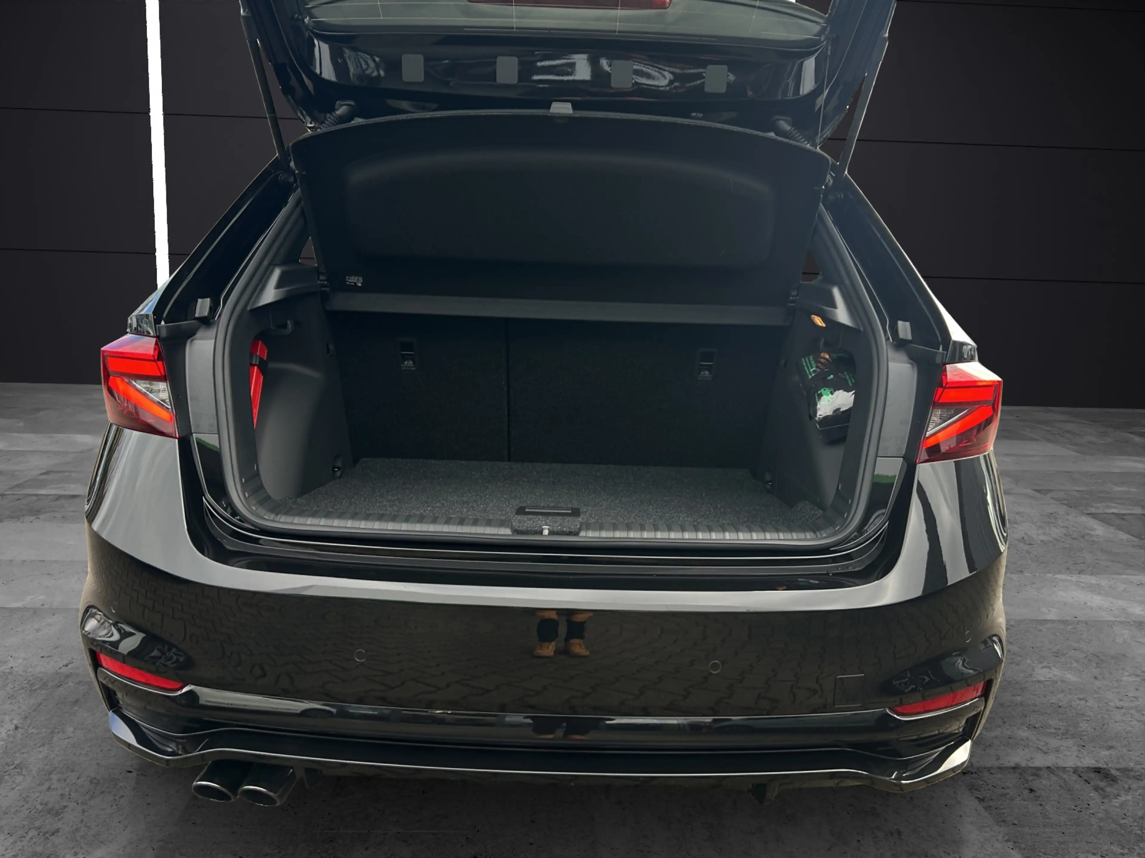 Skoda Fabia 130 Edition DSG ACC Kamera — photo 13