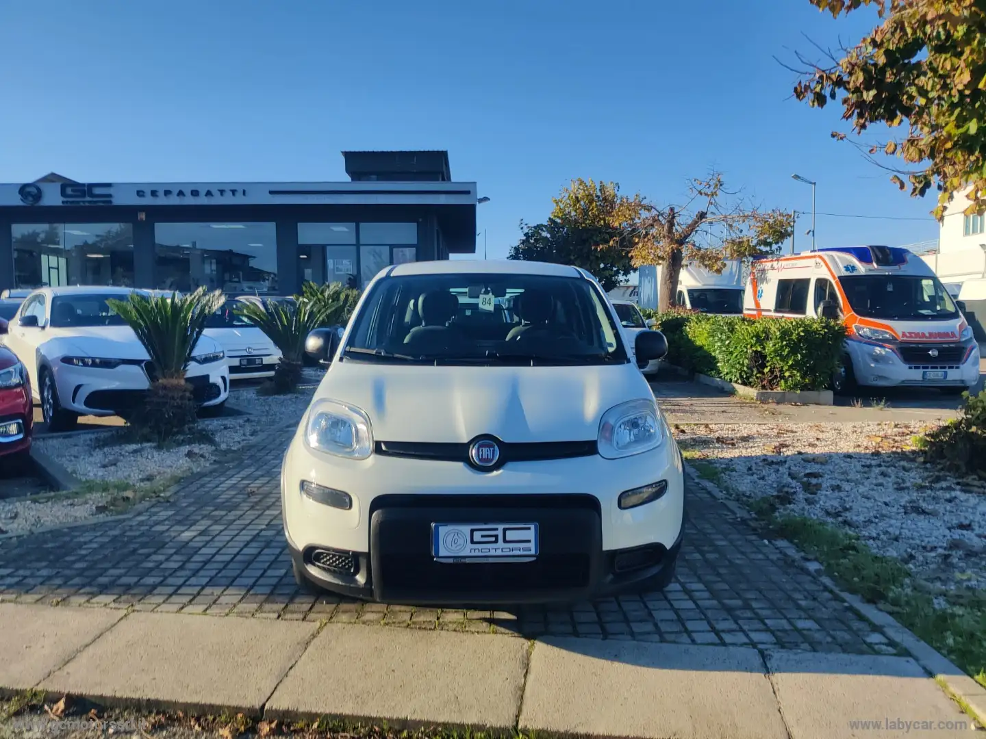 Fiat Panda 1.0 GSE Hybrid Street Van 4 p.ti Blanc - 2