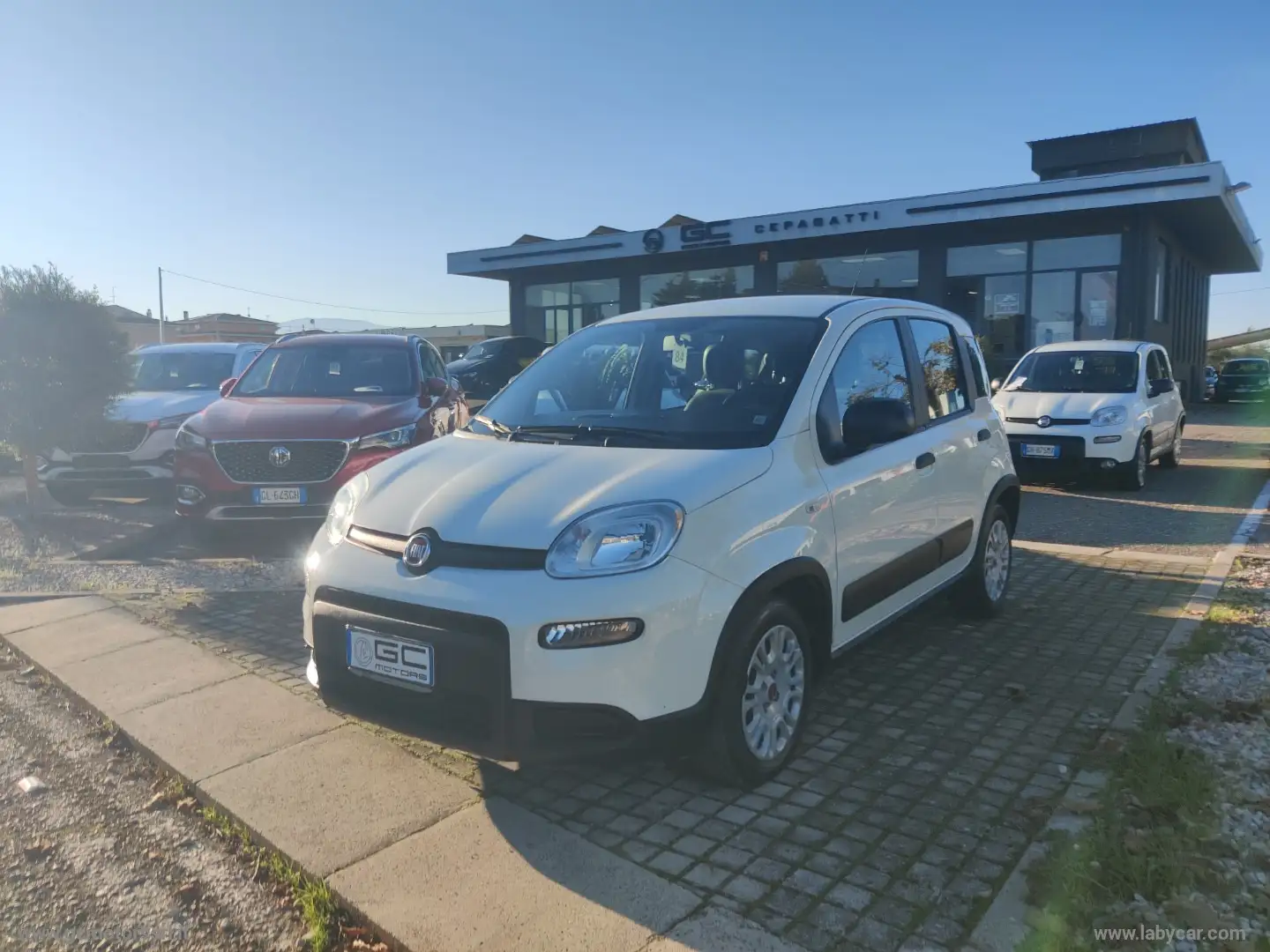 Fiat Panda 1.0 GSE Hybrid Street Van 4 p.ti Blanc - 1
