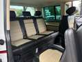 Volkswagen Sonstige T6 Rot - thumbnail 23
