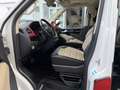 Volkswagen Sonstige T6 Rot - thumbnail 12