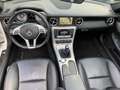 Mercedes-Benz SLK 200 (BlueEFFICIENCY) Brabus Blanc - thumbnail 16