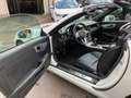 Mercedes-Benz SLK 200 (BlueEFFICIENCY) Brabus Blanc - thumbnail 14