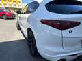 Alfa Romeo Stelvio Stelvio Veloce 2,2 16V 210 AT8 Q4 Veloce Weiß - thumbnail 9