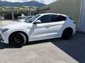 Alfa Romeo Stelvio Stelvio Veloce 2,2 16V 210 AT8 Q4 Veloce Weiß - thumbnail 12