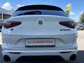 Alfa Romeo Stelvio Stelvio Veloce 2,2 16V 210 AT8 Q4 Veloce Weiß - thumbnail 8