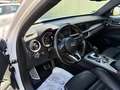 Alfa Romeo Stelvio Stelvio Veloce 2,2 16V 210 AT8 Q4 Veloce Weiß - thumbnail 13