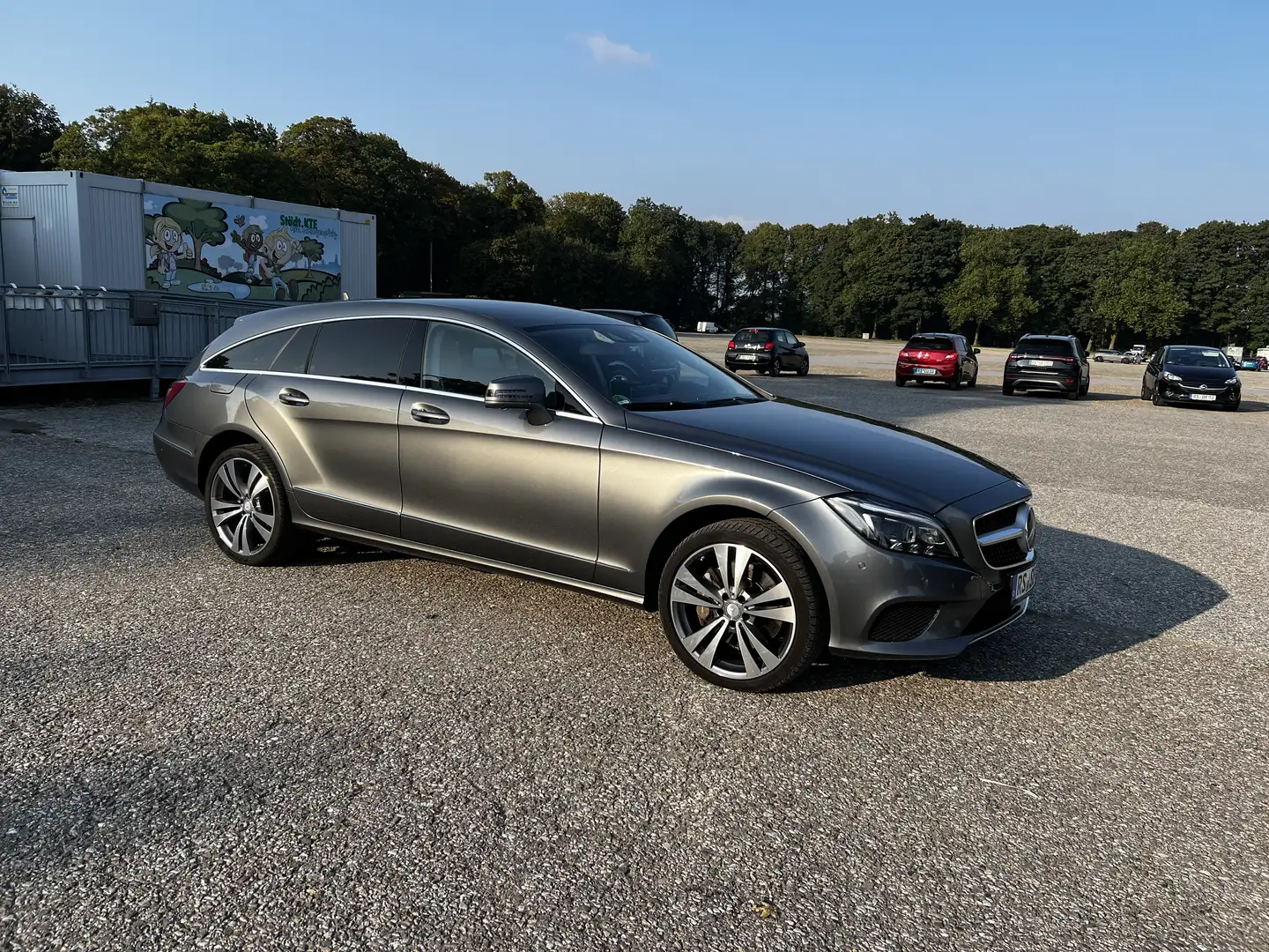 Mercedes-Benz CLS 350 CLS 350 BlueTec / d 4Matic (218.994) Gris - 2