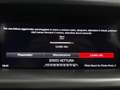 Alfa Romeo Stelvio 2.2 TD 190 CV EXECUTIVE Q4 CERCHI 19" PERFETTA Grigio - thumbnail 48
