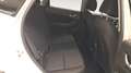 Hyundai KONA TODOTERRENO 1.6 GDI HEV TECNO 2-TONE DCT 141 5P - thumbnail 14