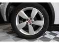 Jaguar E-Pace D150 - AWD - BVA - R-Dynamic PHASE 1 Blanc - thumbnail 24
