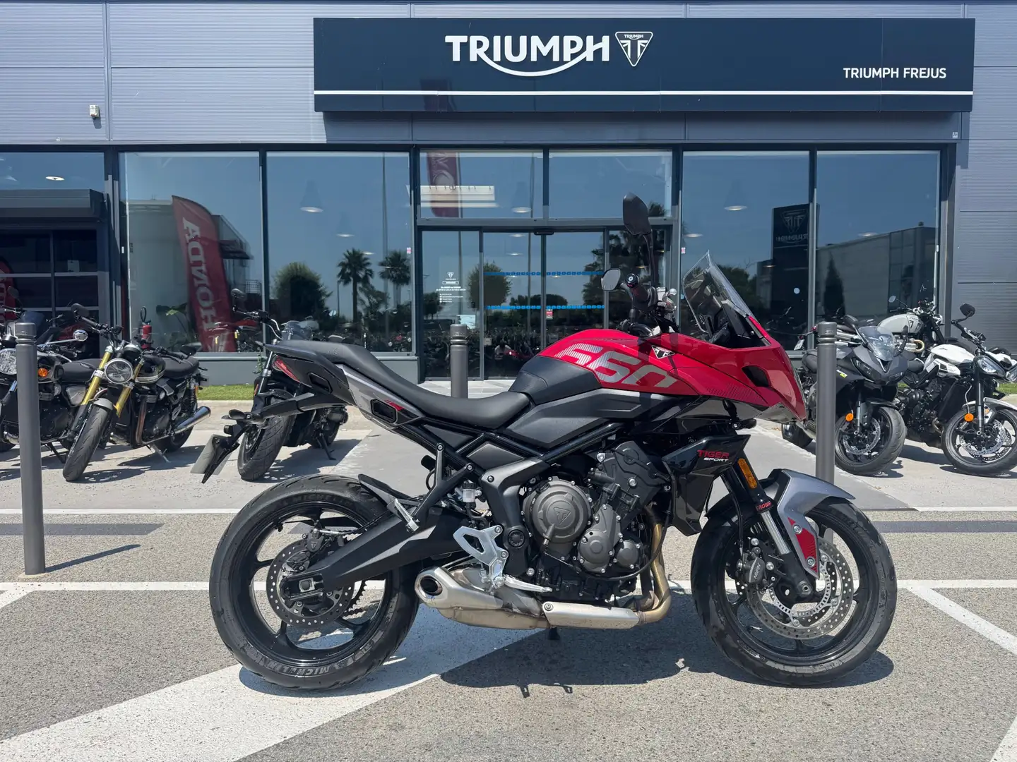 Triumph Tiger Sport - 1