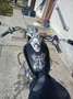 Honda Shadow 750 Nero - thumbnail 2