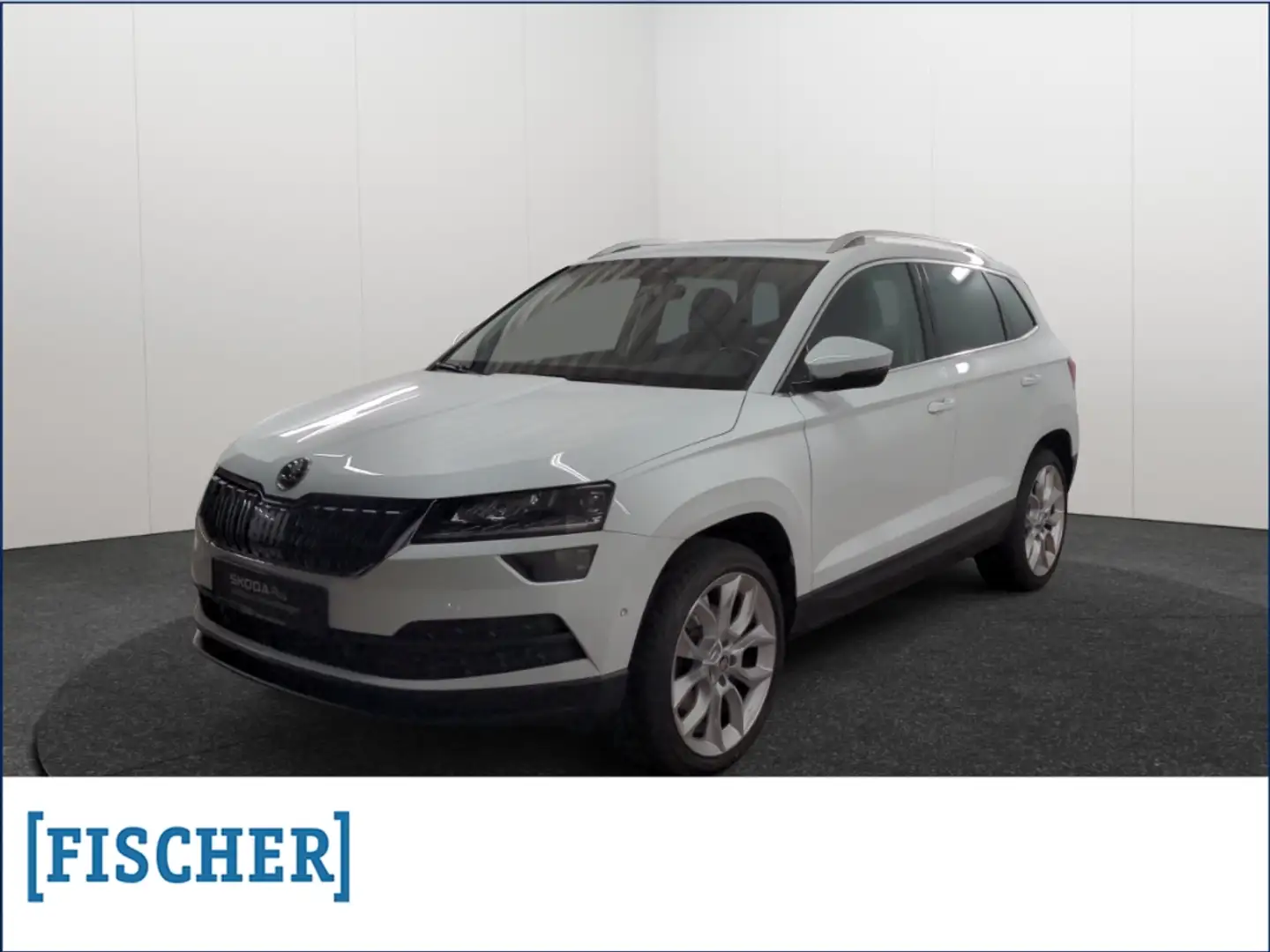 Skoda Karoq 2.0TDI 4x4 DSG Style LED AHK STHZ Navi Rear View Wit - 1