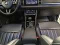 Skoda Karoq 2.0TDI 4x4 DSG Style LED AHK STHZ Navi Rear View Wit - thumbnail 14