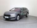 Skoda Superb Selection TDI DSG Grau - thumbnail 1