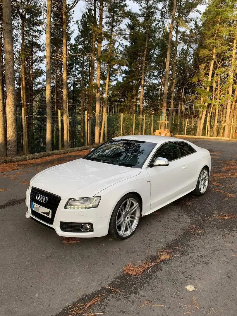Audi A5 Coupé 3.0TDI quattro Tiptronic - 2