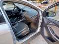 Ford Focus 5p 1.6 tdci Titanium 115cv - thumbnail 5