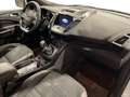 Ford Kuga Kuga 2.0 TDCI 120 CV S&S 2WD ST-Line Bianco - thumbnail 15