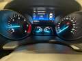 Ford Kuga Kuga 2.0 TDCI 120 CV S&S 2WD ST-Line Bianco - thumbnail 12