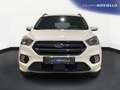 Ford Kuga Kuga 2.0 TDCI 120 CV S&S 2WD ST-Line Bianco - thumbnail 2